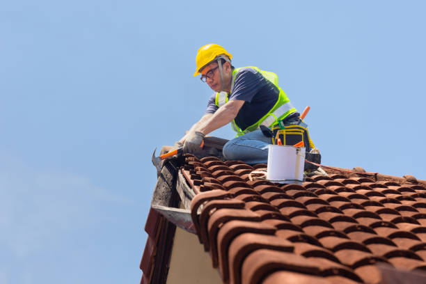 Best Steel Roofing  in East Lake Orient Park, FL